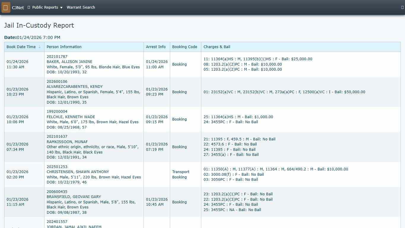 Jail In-Custody Report CJNet